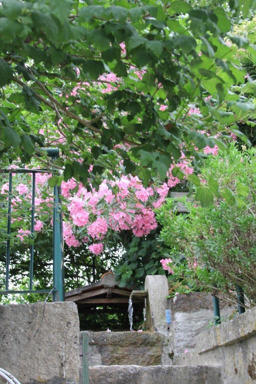 Favoes Quinta Do Pinheiral 빌라 외부 사진